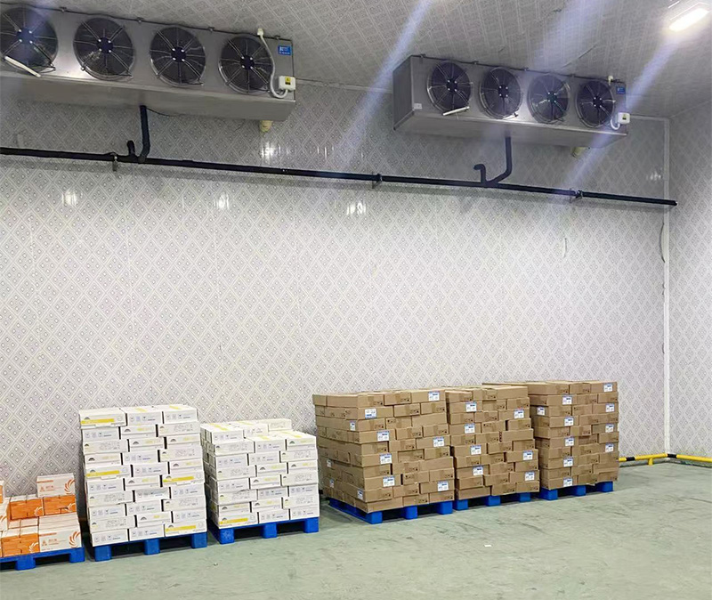 湖北亞米食品1000立方凍庫改造