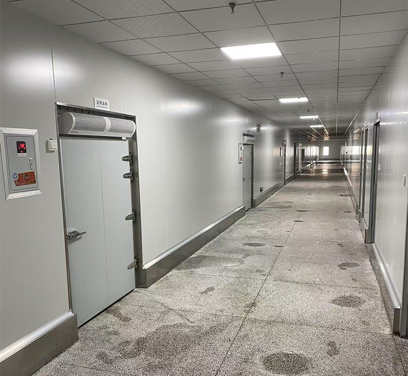 湖北壹日三餐1000立方凍庫