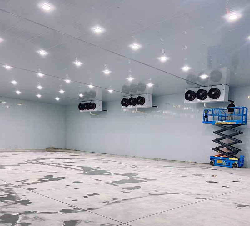 江夏5000立方凍庫